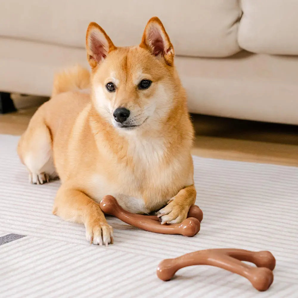 Teething Bones Dog Chew Toy - Bacon-Flavored