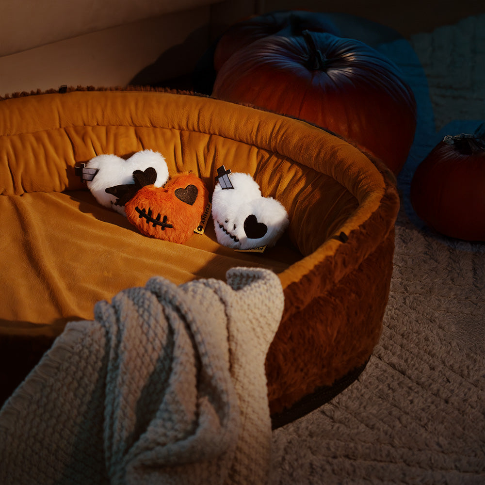 FUNNYFUZZY Plush Squeaky Dog Toy