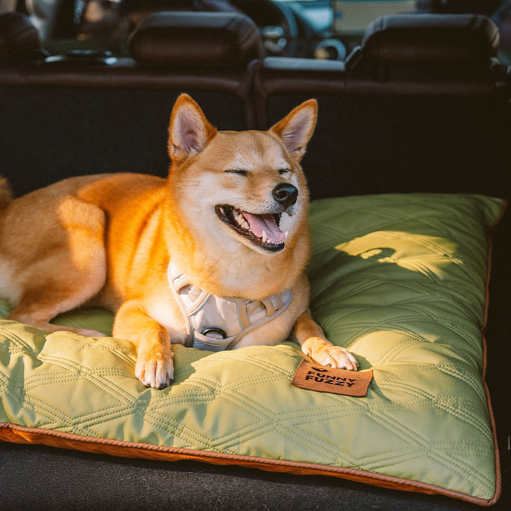 Luxury Water-repellent Dual-Sided Calming Dog Mat