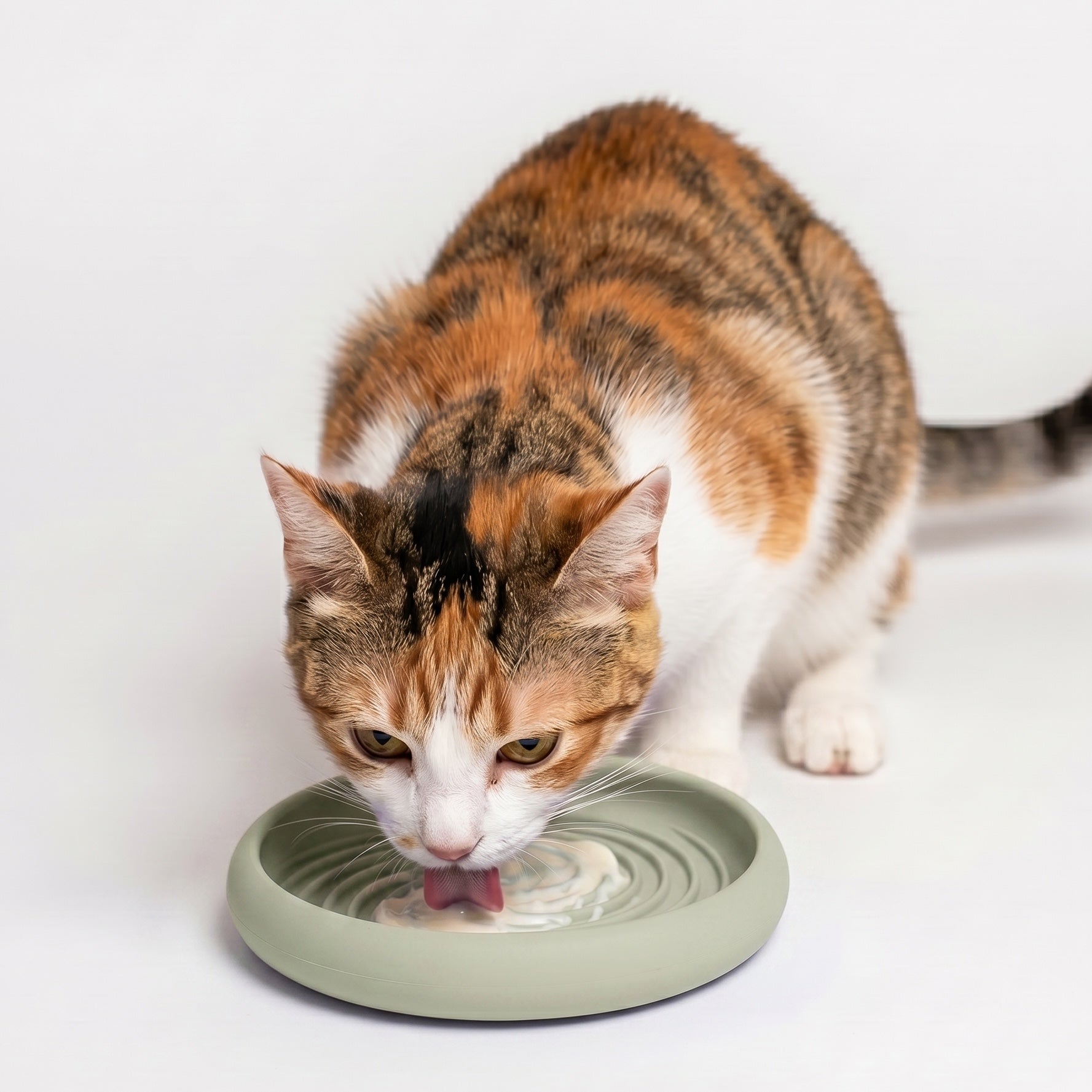 Lick Dish Slow Feeder