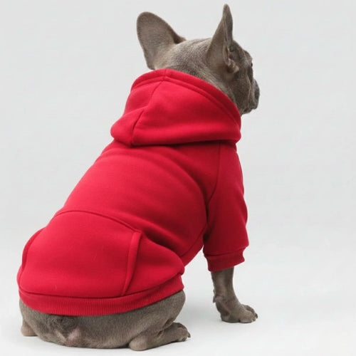 Colorful Cozy Dog Hoodies - Perfect for All-Weather Comfort