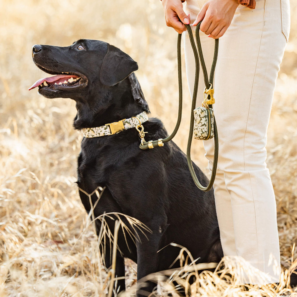 The Foggy Dog - Olive Marine Rope Dog Leash