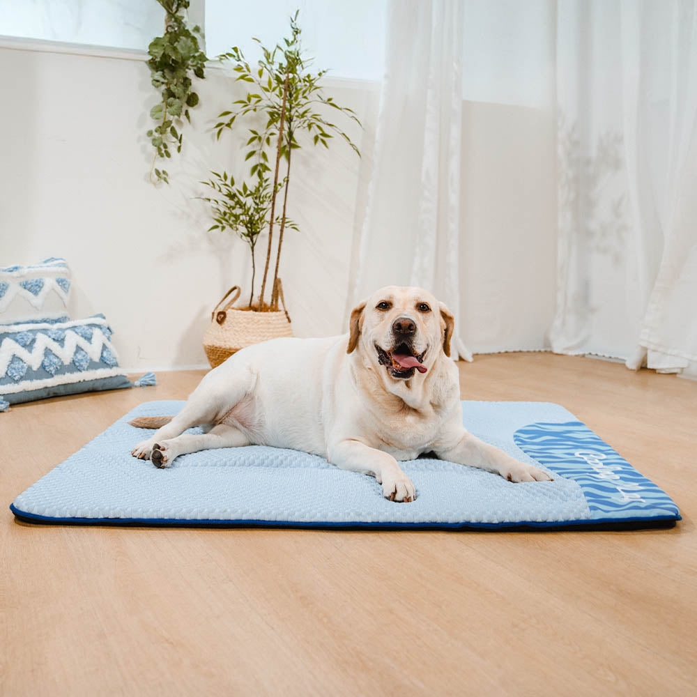 Large Washable Cooling Non-slip Dog Mat for Crate