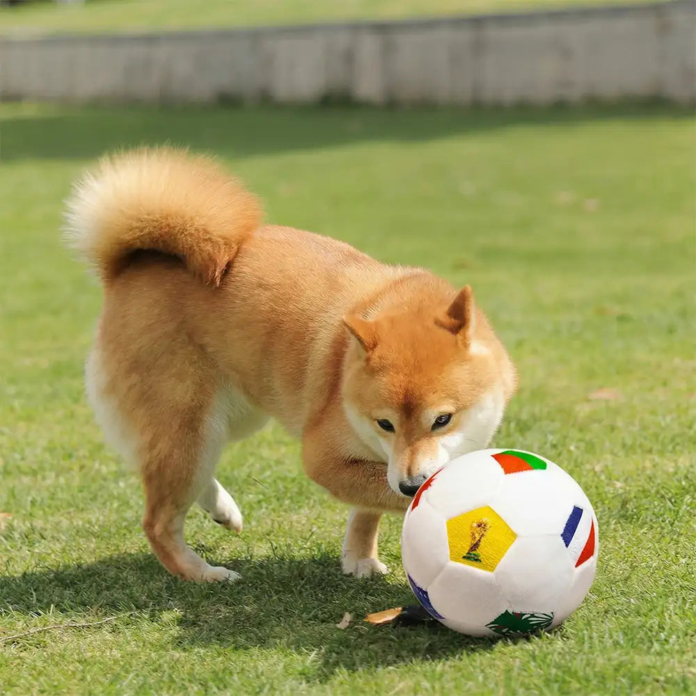 Football Plush Pillow