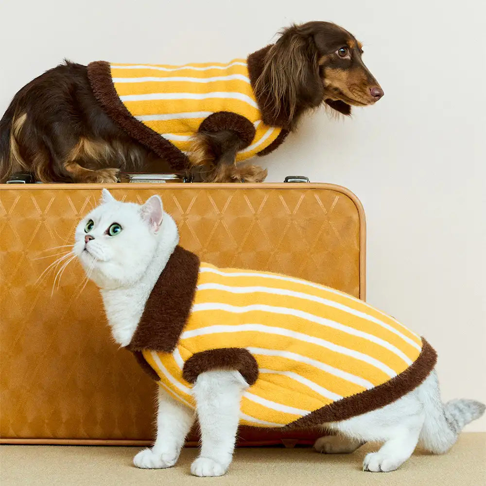 Color Blocked Striped Polo Collar Dog Sweater For Small Dogs