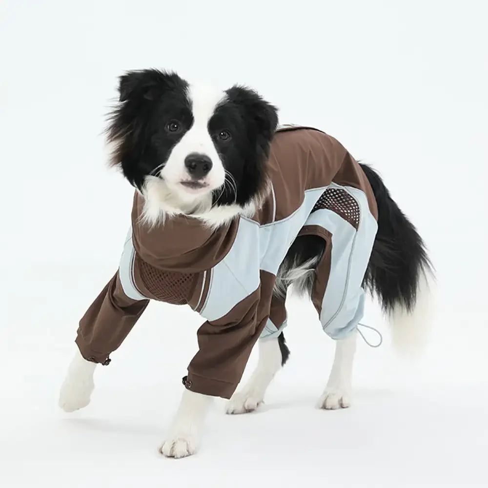 Multi-Functional Waterproof Windproof Dog Windbreaker Coat for Medium & Large Dogs