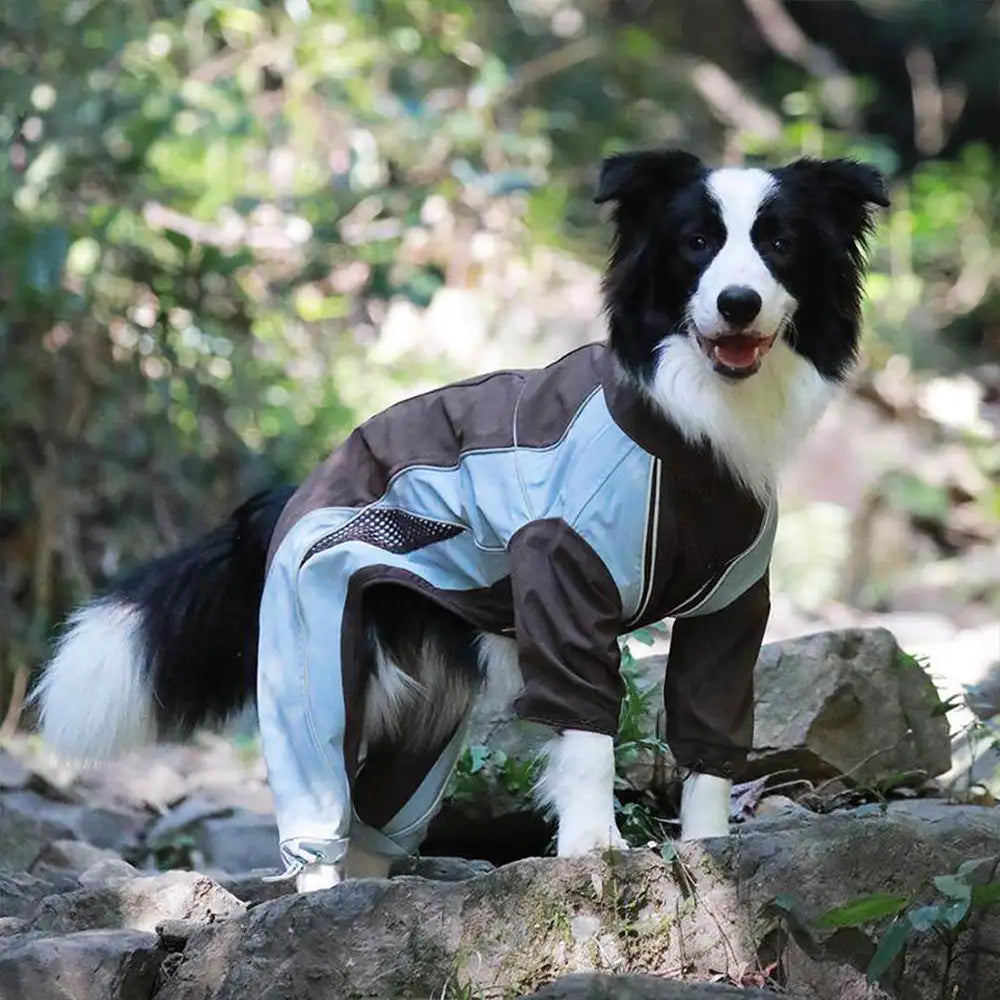 Multi-Functional Waterproof Windproof Dog Windbreaker Coat for Medium & Large Dogs