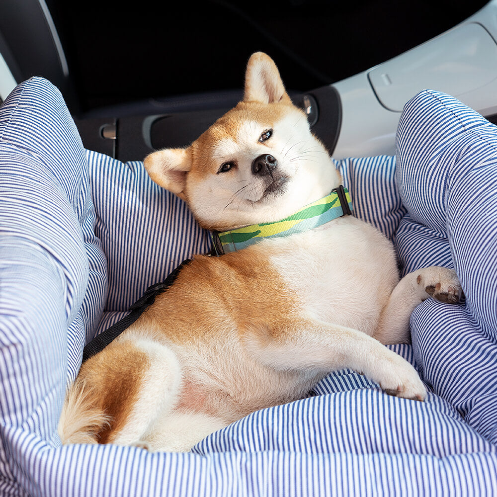 Portable ISOFIX Dog Car Seat Bed with LATCH System