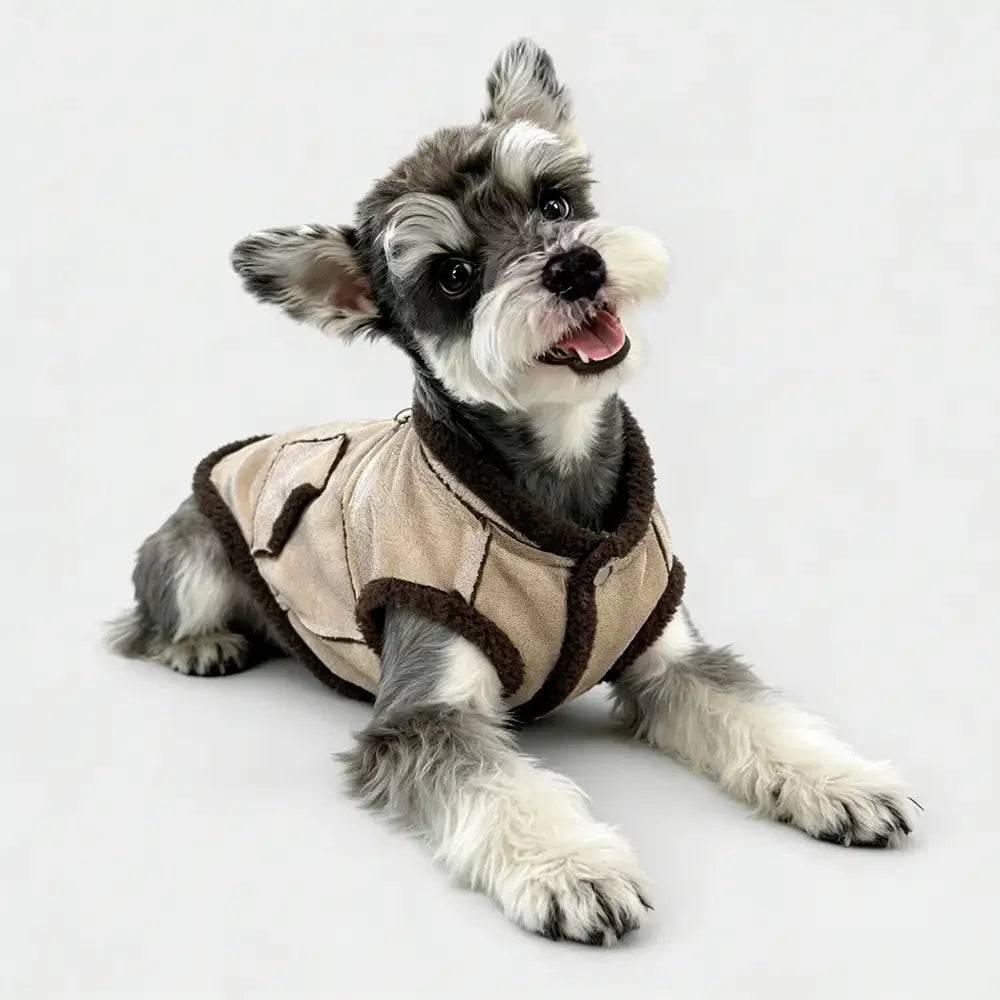 Retro Suede Dog Vest For Small Dogs