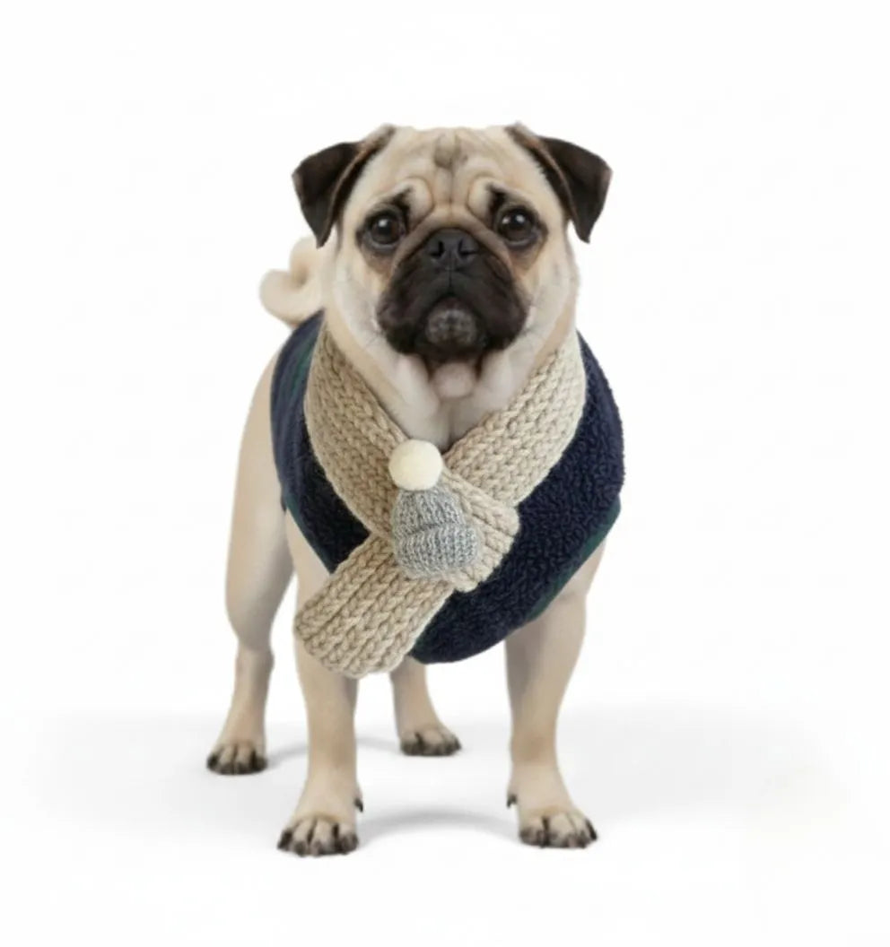 Plaid Winter Dog Jacket with Scarf – Festive and Cozy for the Holidays