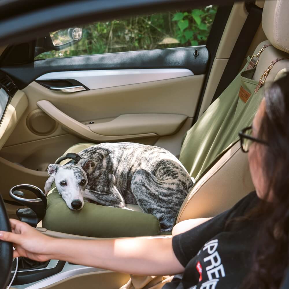 Travel Bolster Safety Back Seat Large Dog Car Seat Bed - Roadtrip