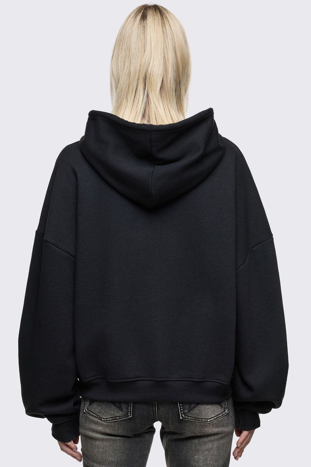 Heavenly Alicorn Zip Up Hoodie