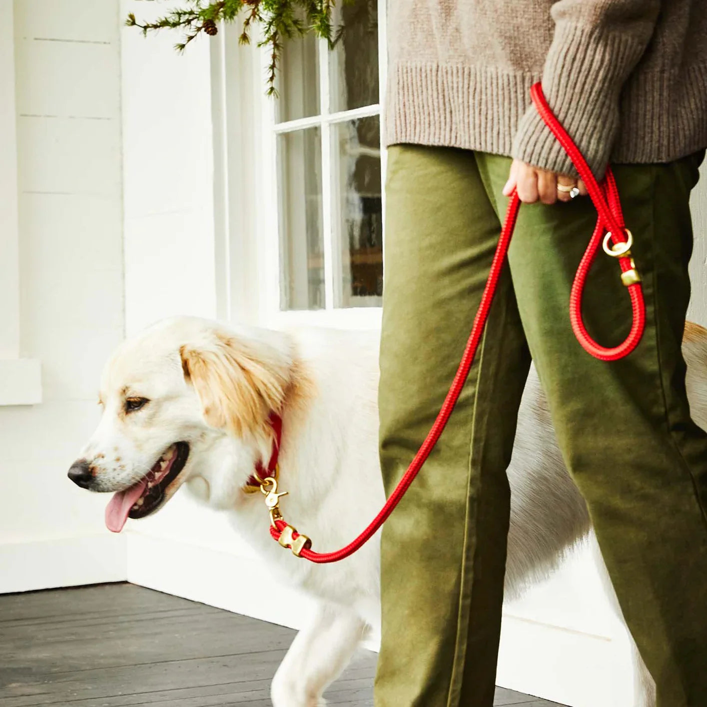 The Foggy Dog - Ruby Rope Dog Leash