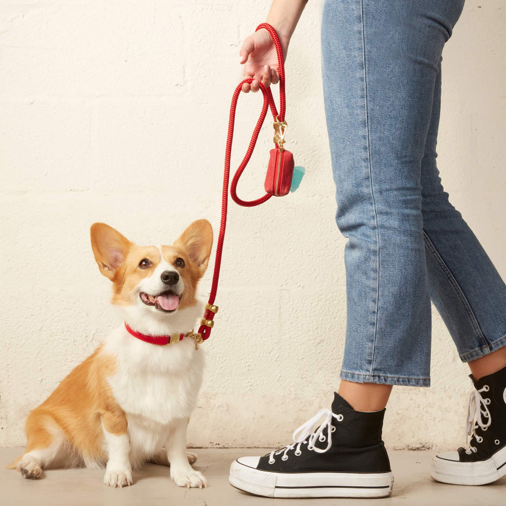 The Foggy Dog - Ruby Rope Dog Leash